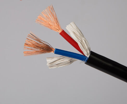 GB 구리 코어 전력 케이블 2 코어 RVV0.5 0.75 1.0 1.5 2.5 4 평방 모니터링 부드러운 껍질 전선